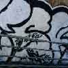 Disk � Emmetrop